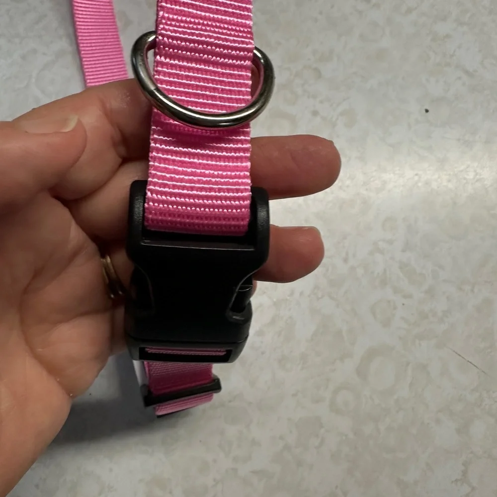 Retriever Adjustable Dog Collar Link Large